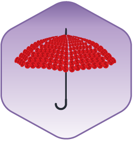  DataSure:Quality-Assurance-Icon